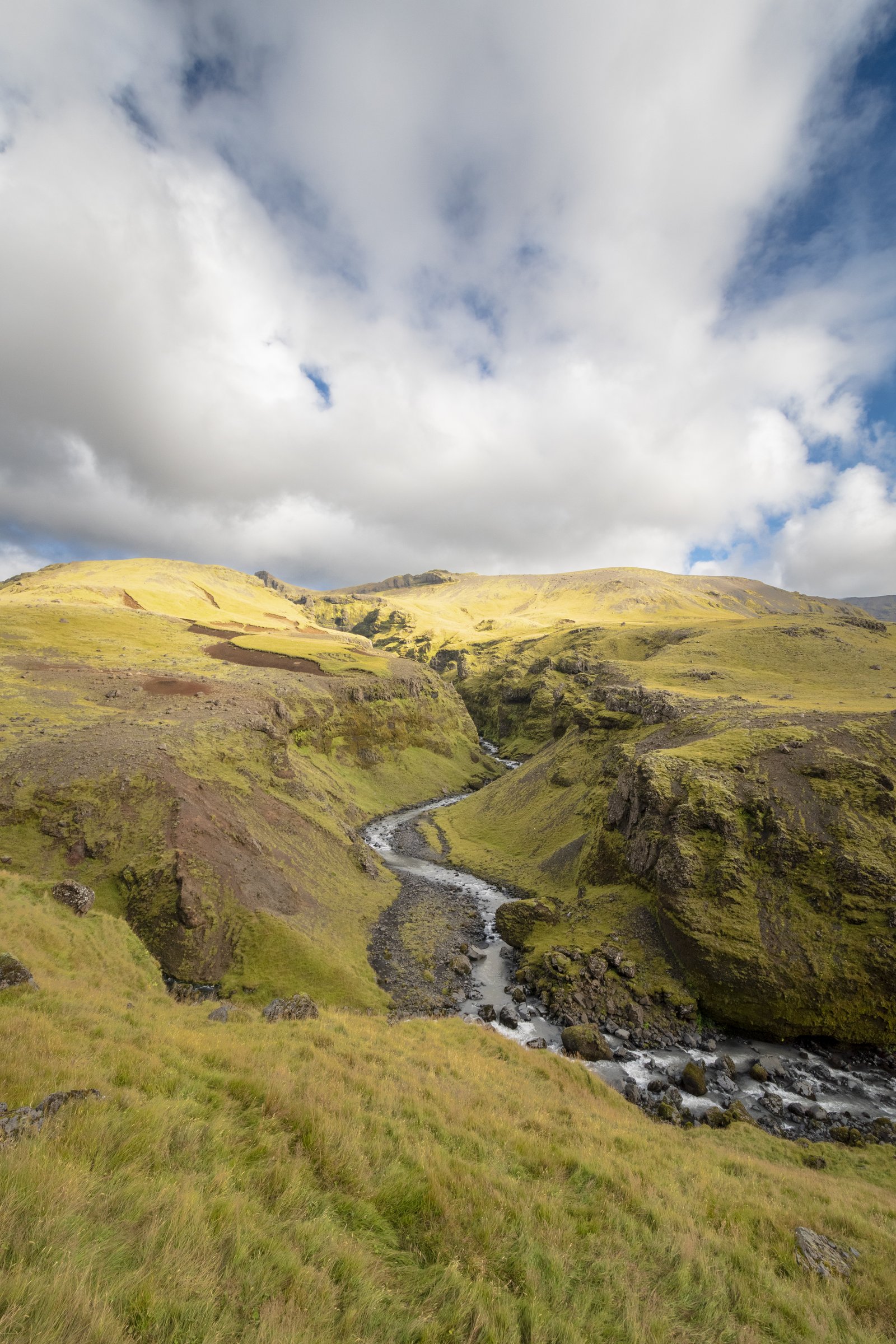 Iceland Stream Portrait